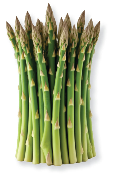 Asparagus Roasted and Seasoned Speers - Freeze Dried Vegetables