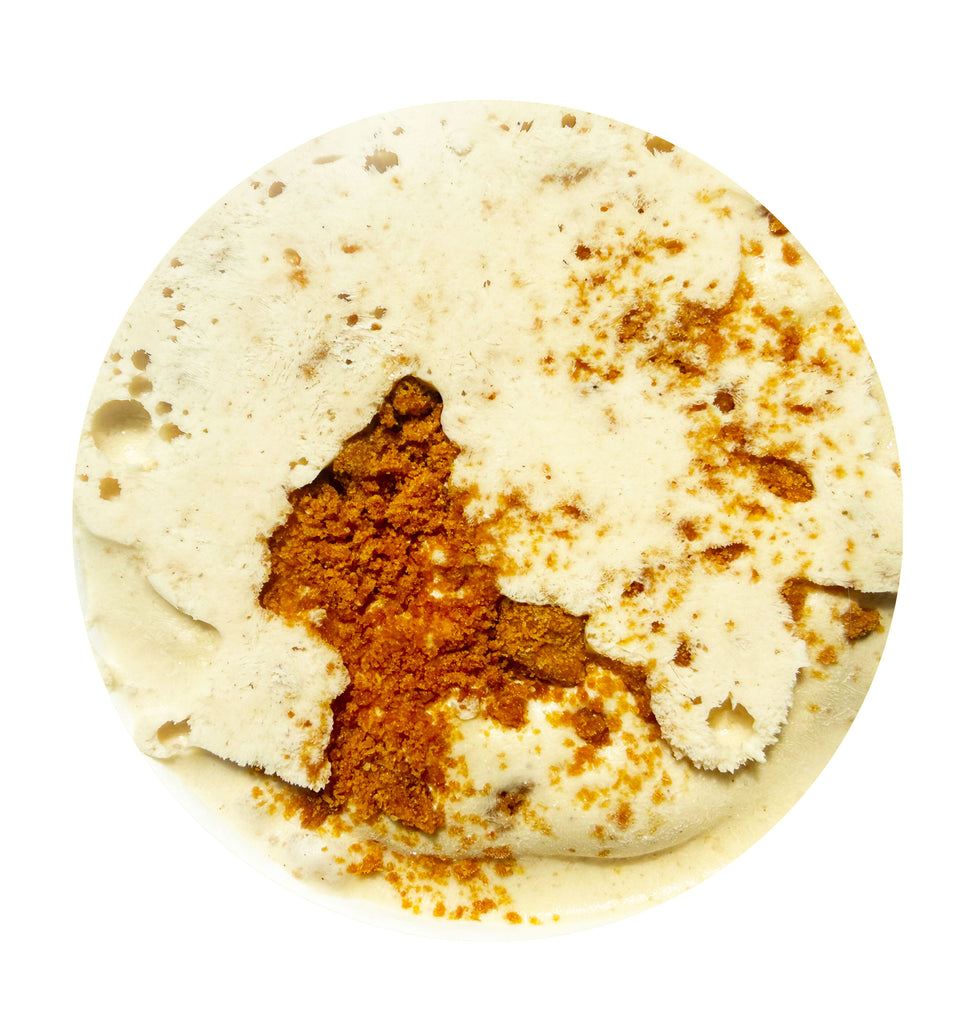 Cookie Butter Ice Cream PINT