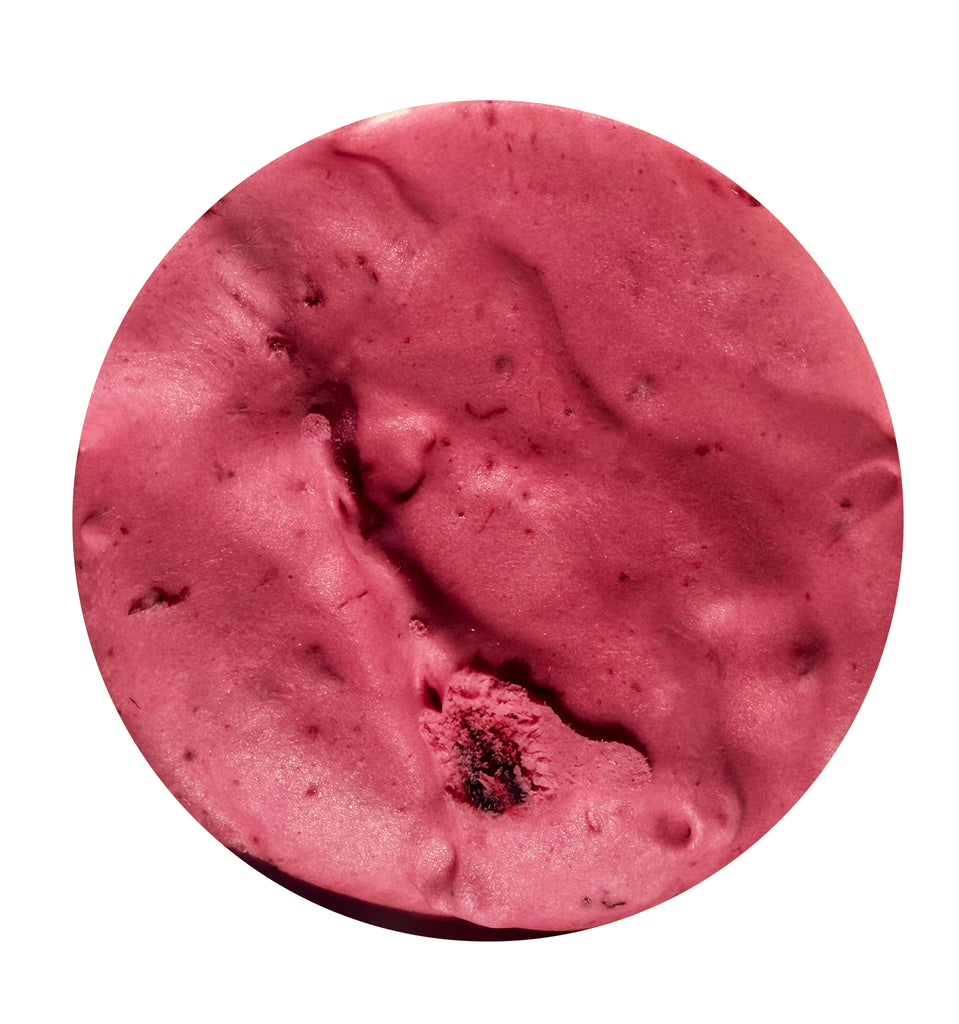 Haskap Honeyberry Ice Cream PINT