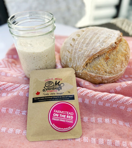 Freeze Dried Sourdough Starter