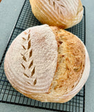 Freeze Dried Sourdough Starter