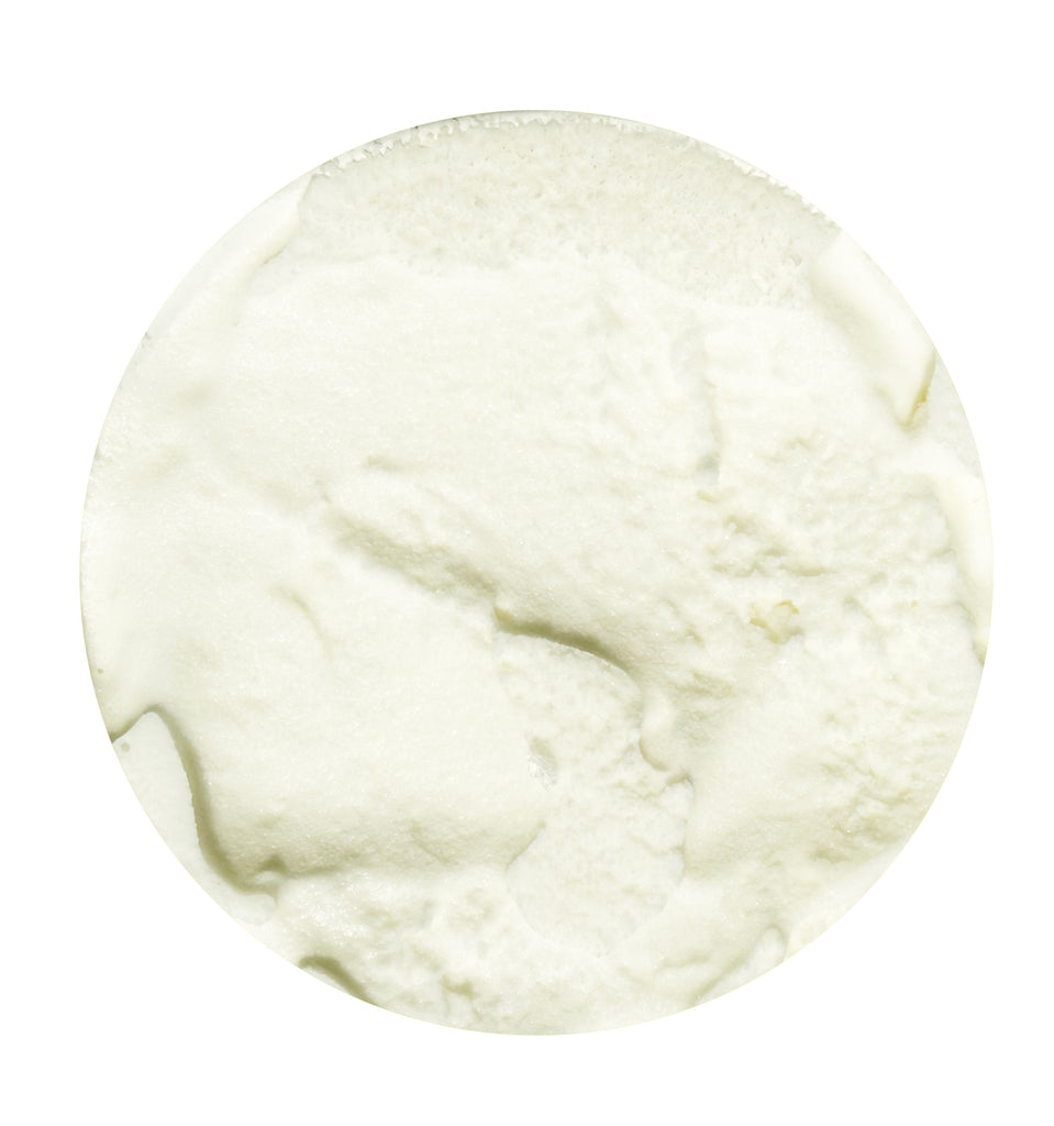 Totally Coconut Ice Cream PINT