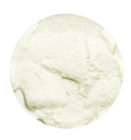 Totally Coconut Ice Cream PINT
