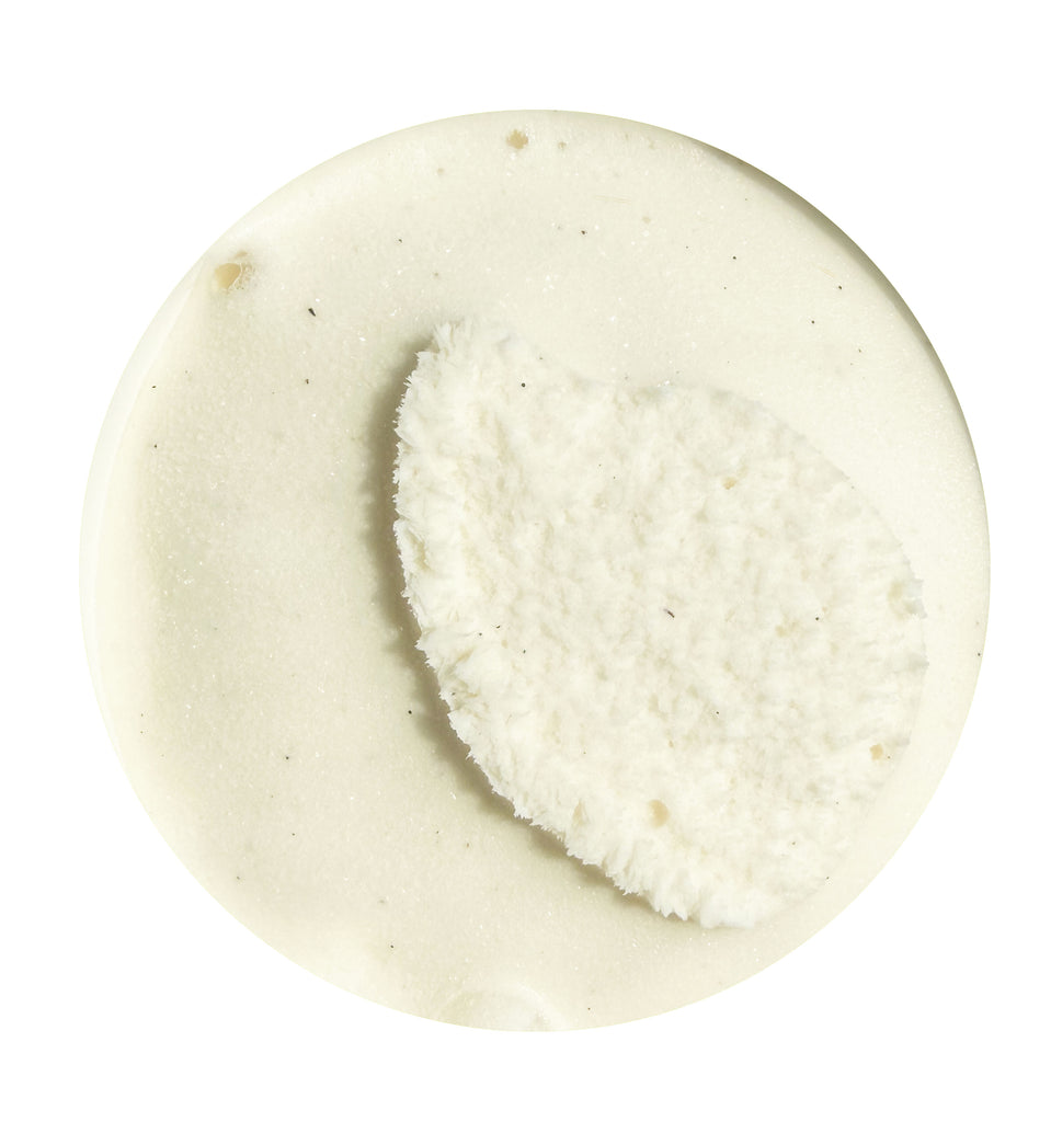 Vanilla Bean Ice Cream PINT