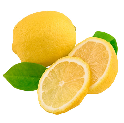 LEMON Slices 24 g Freeze Dried Fruit