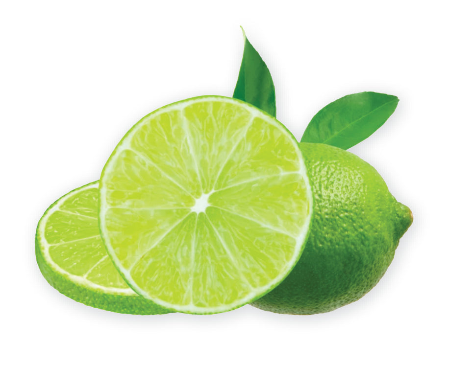 LIME Slices 15 g Freeze Dried Fruit Jar