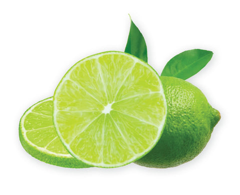 LIME Slices 15 g Freeze Dried Fruit Jar