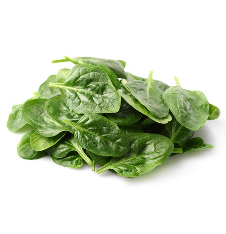 Spinach SAMPLE Size - raw - Powder Freeze Dried Fruit 8 g